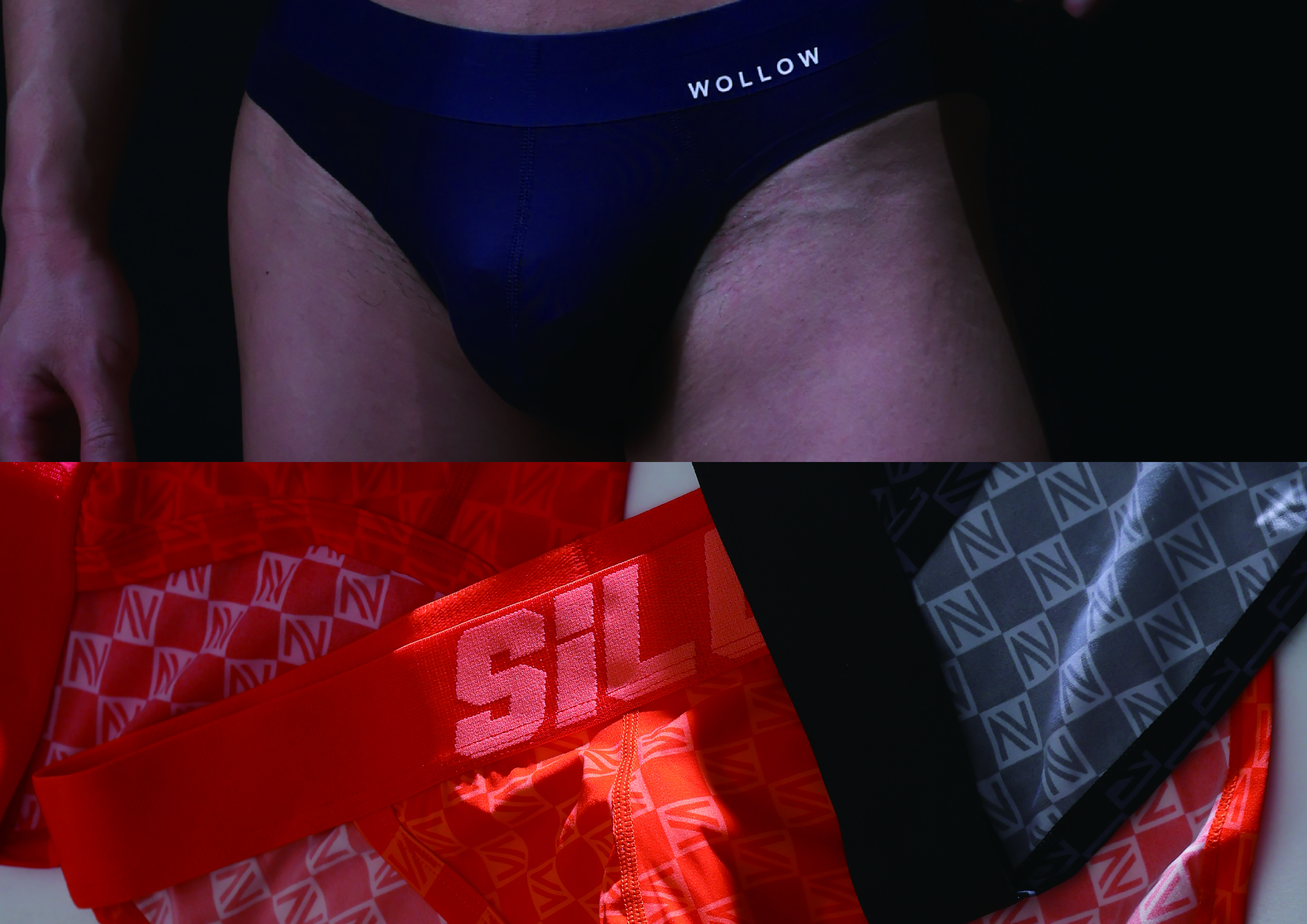 SiLL vs WOLLOW：個性豊かなカラーバリエーション